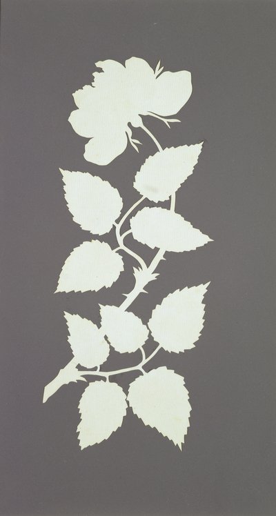 Rose (collage på papper) av Philipp Otto Runge